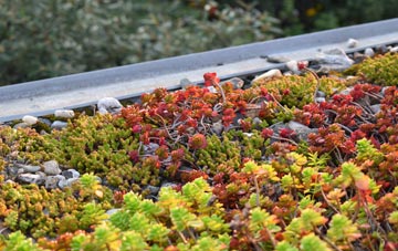 the cost of The Ings green roof installation