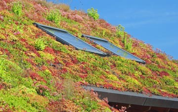 The Ings living roof systems